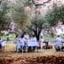 Group of people dining at tables set under olive trees in an outdoor setting. - Olive Oil Times