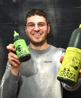 Person holding two bottles of Grazia extra virgin olive oil, one large and one small, both with green labels. - Olive Oil Times