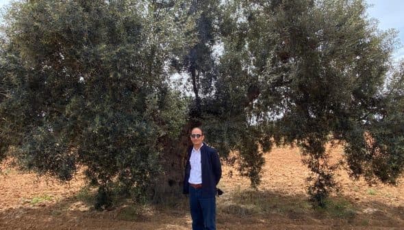 A man wearing sunglasses standing next to a large olive tree in a field. - Olive Oil Times