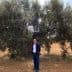 A man wearing sunglasses standing next to a large olive tree in a field. - Olive Oil Times