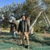 Three individuals engaged in olive harvesting under an olive tree with a ladder and netting. - Olive Oil Times