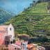 Terraced vineyards on a hillside near a small village in Cinque Terre, Italy. - Olive Oil Times