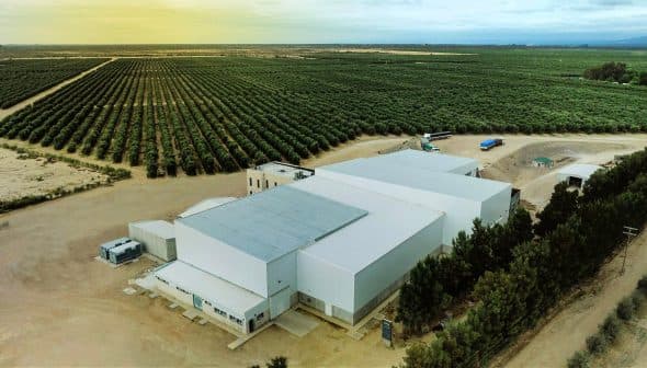 Aerial view of an olive oil processing facility next to a large olive grove. - Olive Oil Times