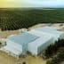 Aerial view of an olive oil processing facility next to a large olive grove. - Olive Oil Times