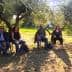 A group of individuals seated in an olive grove participating in a meditation session. - Olive Oil Times