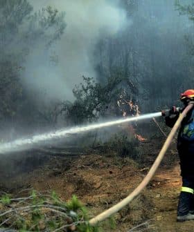 Firefighters using a hose to extinguish flames in a forested area during a wildfire. - Olive Oil Times