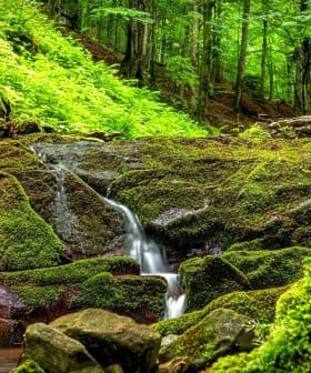 Small waterfall flowing over moss-covered rocks in a forested area. - Olive Oil Times