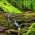 Small waterfall flowing over moss-covered rocks in a forested area. - Olive Oil Times