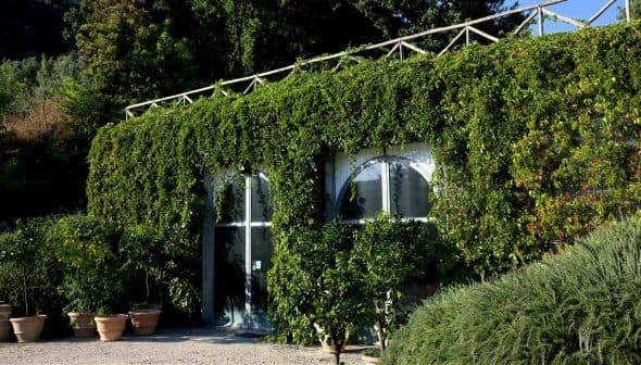 A building with large windows covered in lush green vines and plants. - Olive Oil Times