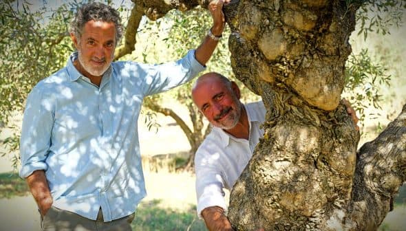 Two men standing beside a large olive tree, one leaning against the trunk and the other holding onto a branch. - Olive Oil Times