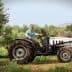 A man with a beard driving a tractor through an olive grove with trees in the background. - Olive Oil Times