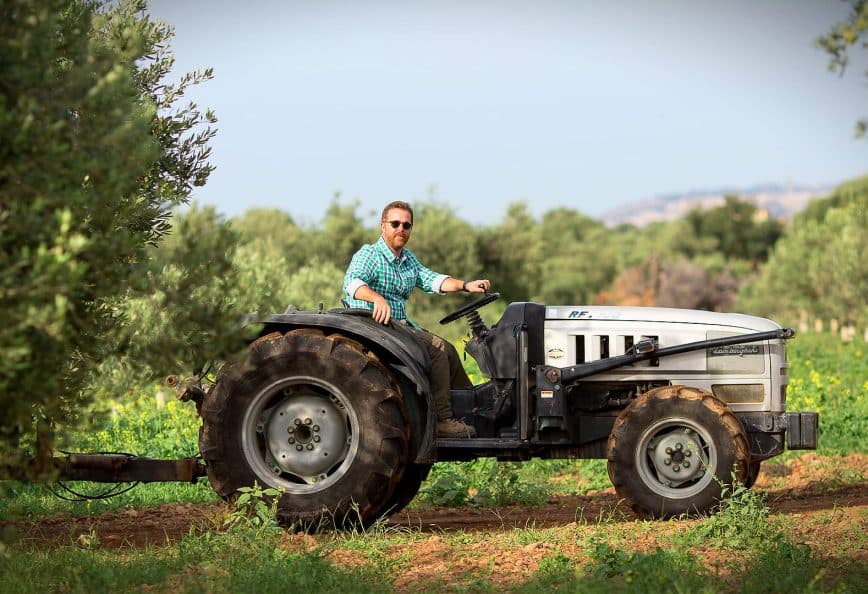 A man with a beard driving a tractor through an olive grove with trees in the background. - Olive Oil Times