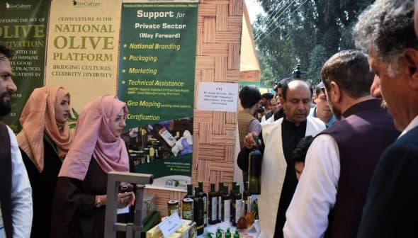Exhibition booth featuring olive oil products and promotional materials at an event. - Olive Oil Times
