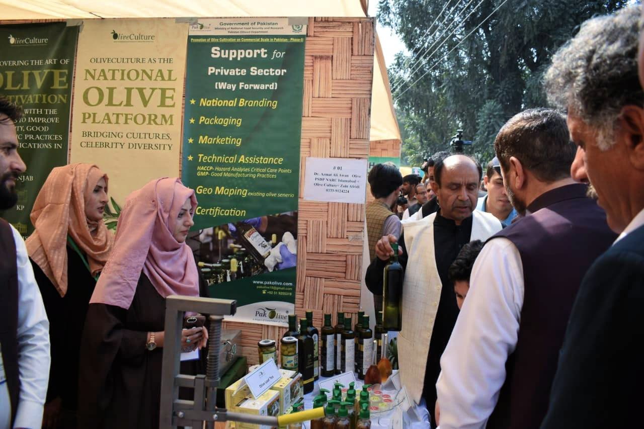 Exhibition booth featuring olive oil products and promotional materials at an event. - Olive Oil Times