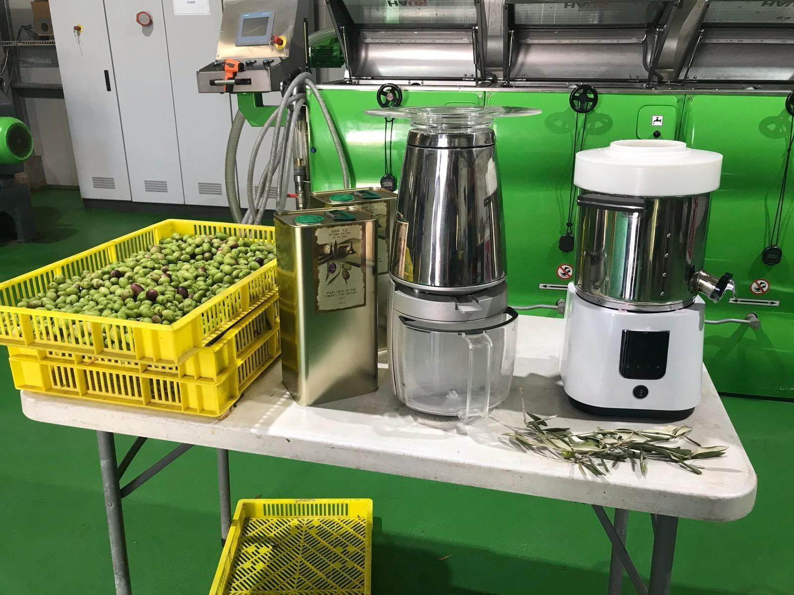 Table displaying olive oil extraction equipment alongside baskets of olives. - Olive Oil Times