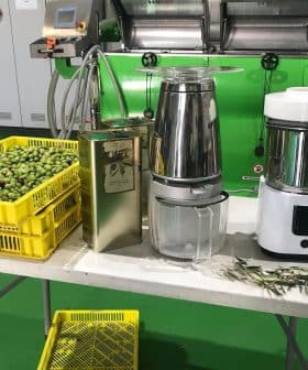 Table displaying olive oil extraction equipment alongside baskets of olives. - Olive Oil Times