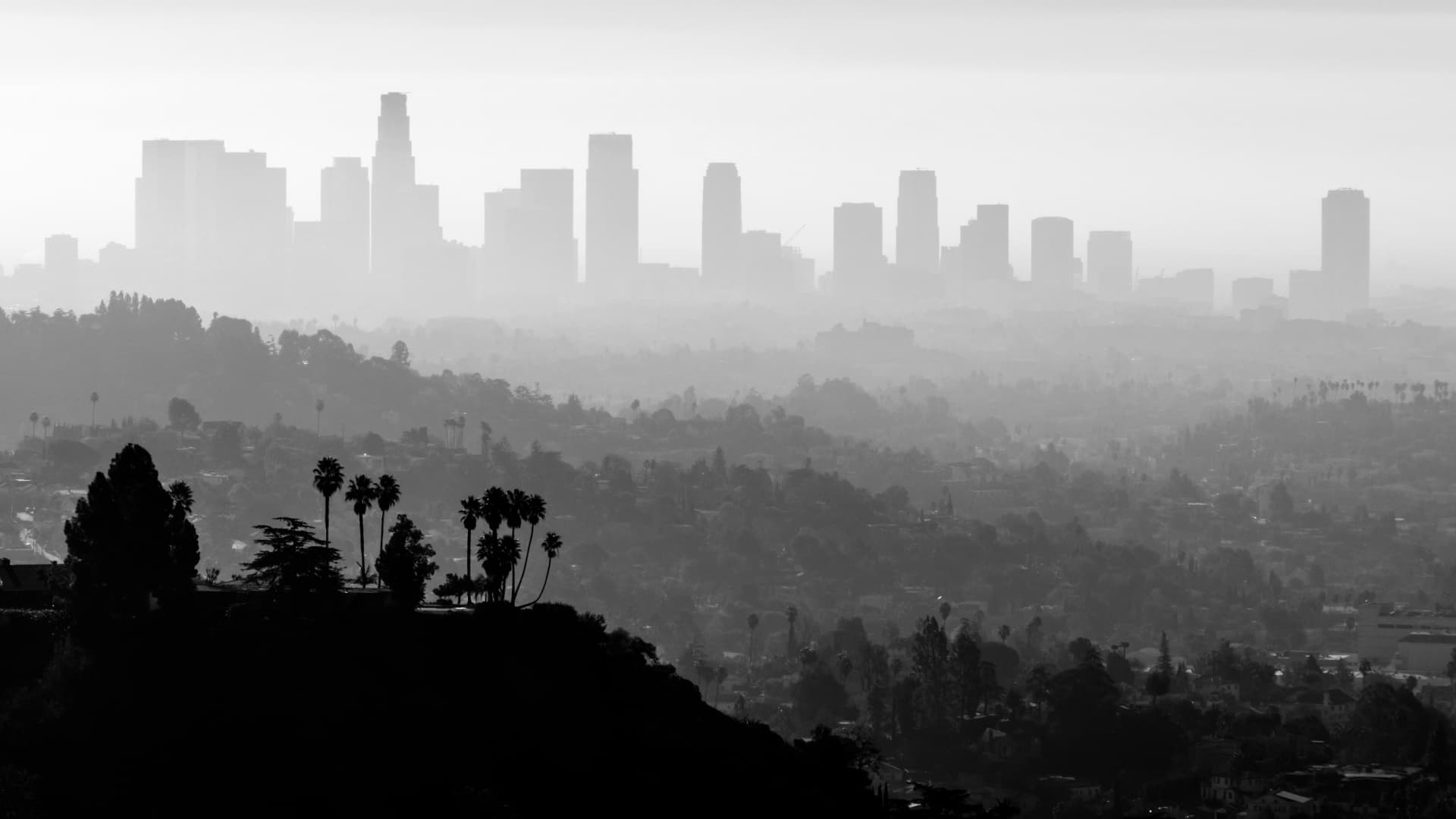 Silhouette of the Los Angeles skyline with palm trees in the foreground, captured in black and white. - Olive Oil Times