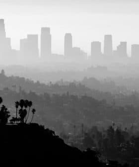 Silhouette of the Los Angeles skyline with palm trees in the foreground, captured in black and white. - Olive Oil Times