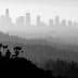 Silhouette of the Los Angeles skyline with palm trees in the foreground, captured in black and white. - Olive Oil Times