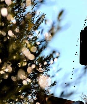 Olive harvesting equipment silhouetted against a blue sky with olives falling from it. - Olive Oil Times