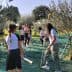 Group of people participating in olive harvesting under trees with nets on the ground. - Olive Oil Times