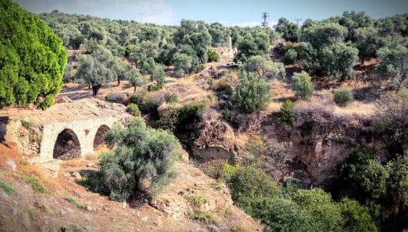 An ancient stone bridge in a landscape filled with olive trees and rocky terrain. - Olive Oil Times