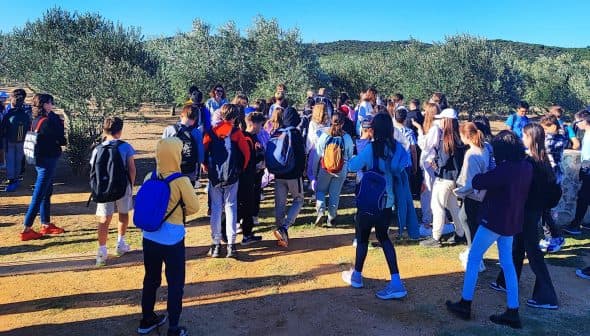 A large group of students gathered in an olive grove, wearing backpacks and casual clothing. - Olive Oil Times