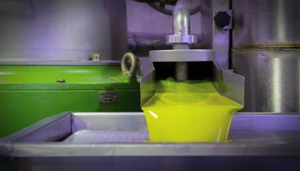 Stream of fresh olive oil flowing from a processing machine in a production facility. - Olive Oil Times