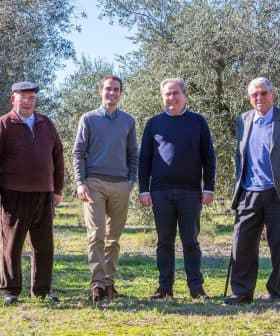 Six men standing together in an olive grove, dressed in casual and formal attire. - Olive Oil Times