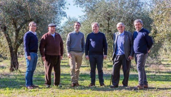 Six men standing together in an olive grove, dressed in casual and formal attire. - Olive Oil Times