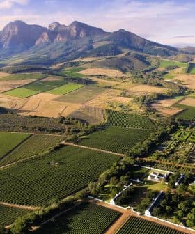 Aerial view of agricultural fields with mountains in the background in a rural landscape. - Olive Oil Times