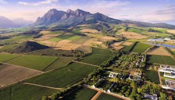 Aerial view of agricultural fields with mountains in the background in a rural landscape. - Olive Oil Times