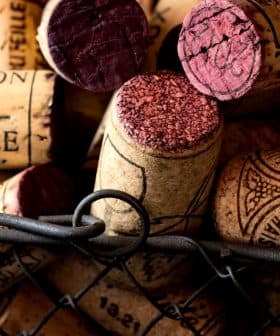 Various wine corks with different colors and markings placed in a wire basket. - Olive Oil Times