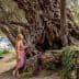 A woman in a pink dress standing beside a large, gnarled olive tree with intricate roots. - Olive Oil Times