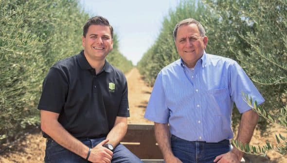 Two men sitting on a bench in an olive grove, surrounded by olive trees. - Olive Oil Times