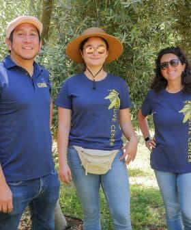 Five individuals wearing matching shirts standing together at an olive center. - Olive Oil Times