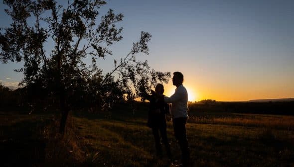 Silhouettes of two individuals standing by an olive tree during sunset with a clear sky. - Olive Oil Times