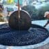 Man operating a traditional olive press with a horse in the background and olives in a stone basin. - Olive Oil Times