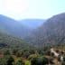 A scenic view of an olive grove situated in a mountainous area with hills and valleys. - Olive Oil Times