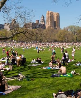 Large crowd of people enjoying a sunny day on the grass in Central Park, New York City. - Olive Oil Times