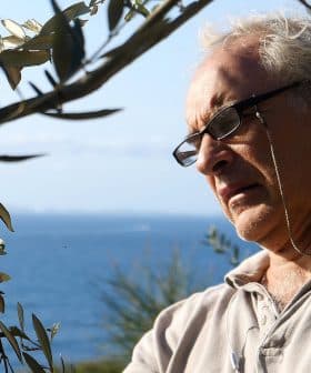 A man examining an olive tree branch while standing outdoors near the sea. - Olive Oil Times