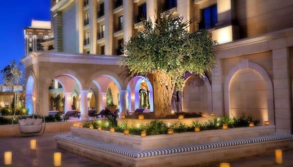 An olive tree surrounded by arches and soft lighting in a courtyard setting. - Olive Oil Times