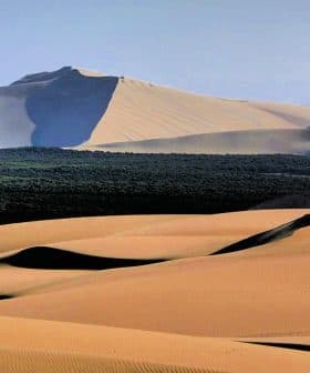 View of sand dunes with mountains in the background and a patch of greenery. - Olive Oil Times