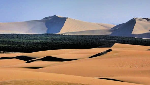 View of sand dunes with mountains in the background and a patch of greenery. - Olive Oil Times