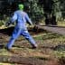 Person in blue overalls collecting olives on a net in an olive grove. - Olive Oil Times