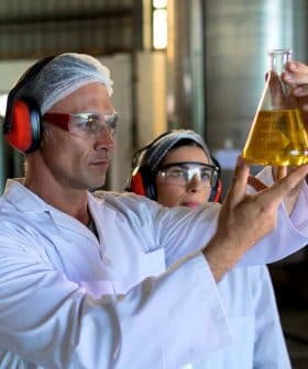 Two laboratory workers in white coats examining a flask of yellow liquid in a lab setting. - Olive Oil Times
