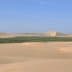 A vast desert landscape featuring rolling sand dunes and a green oasis in the center. - Olive Oil Times