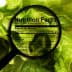 Magnifying glass focusing on nutrition facts label on leafy greens background. - Olive Oil Times
