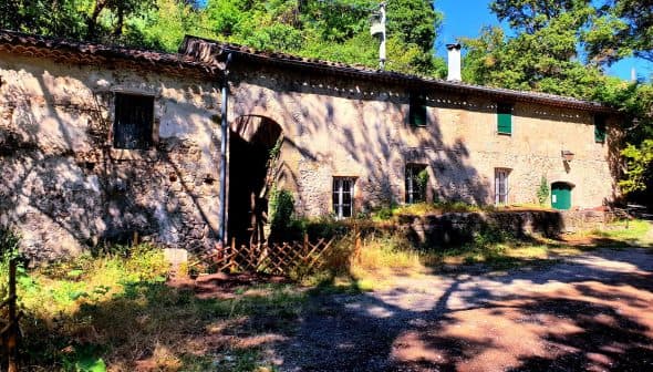 A rustic stone building featuring green windows and a door, surrounded by greenery. - Olive Oil Times