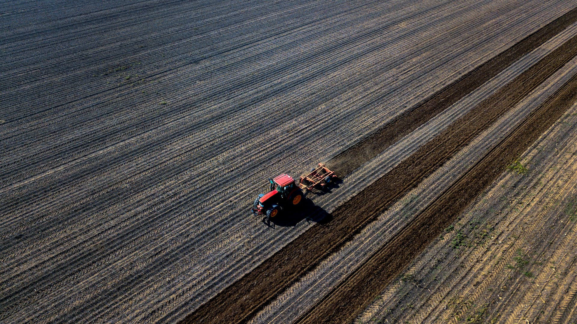 Red tractor tilling soil in a large agricultural field with distinct rows. - Olive Oil Times